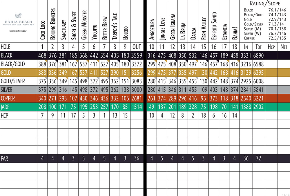Scorecard Image
